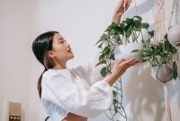 Asian woman arranging indoor hanging plants against a white wall, showcasing modern home decor.
