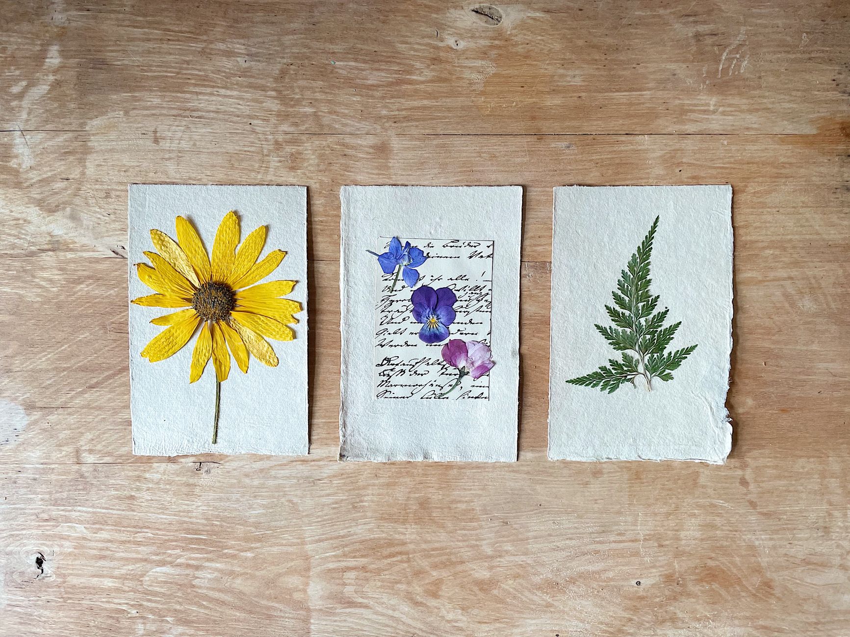 Overhead view of three artistic botanical prints with pressed flowers and leaves on rustic paper.