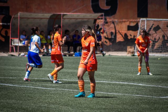 how-sports-influence-culture-and-society-around-the-world